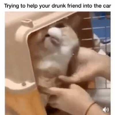 Sorry guys whitney always does this