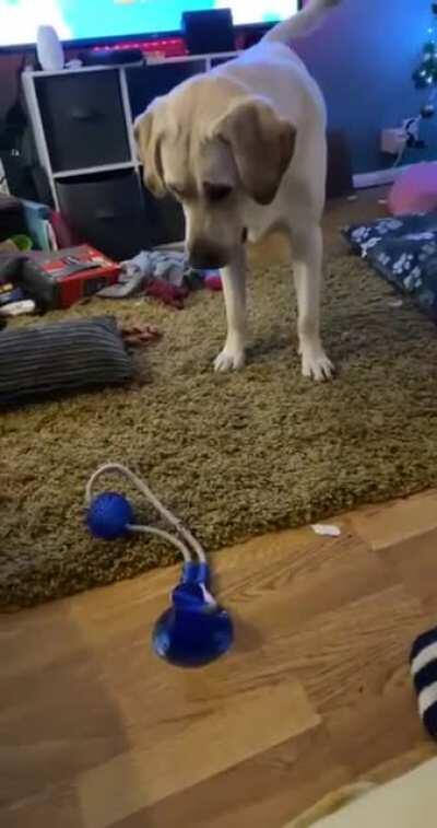 Predictable, still funny