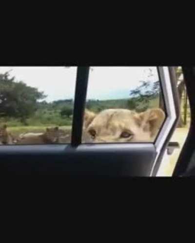 Moments before disaster