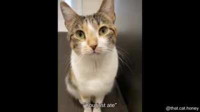 It's not time to eat