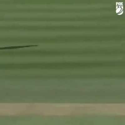 (non -striker)-12th player for Aus team