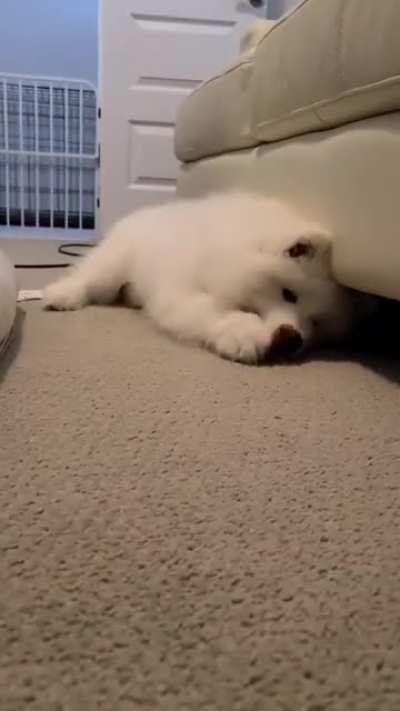 Someone's excited for his treat!!