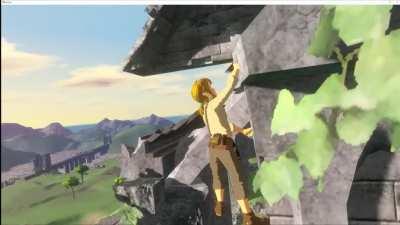 [BOTW] Drunk in the Wild