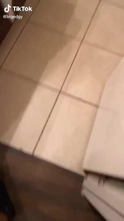 Hot Thicc Boi Season Y’all