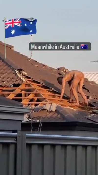 Junkie rips roof tiles off in Australian suburb