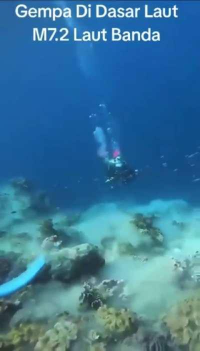 Scuba divers perspective of an underwater earthquake
