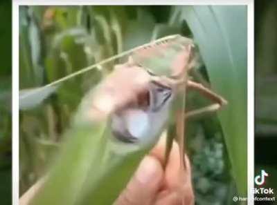 bom, isso realmente intimida