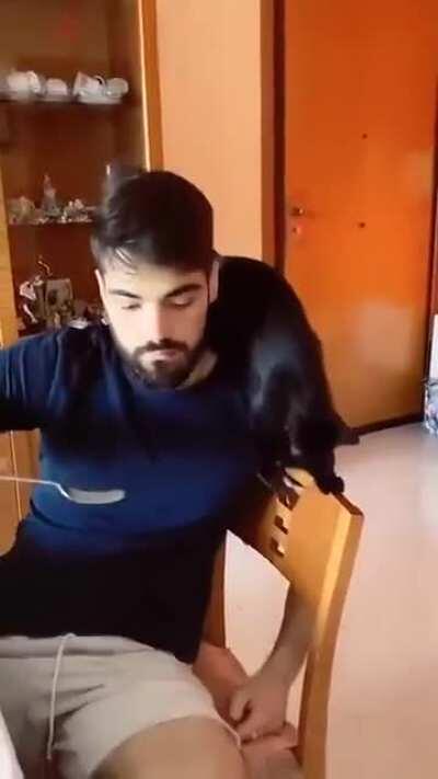 If you mess with the catto, you get the smacko