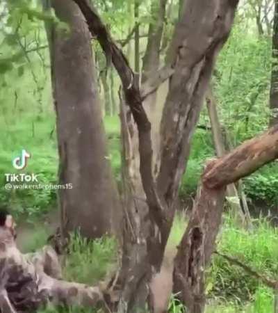 Was not expecting that.