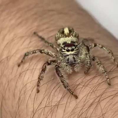 Y’all message but don’t upvote 🥺🥺😅