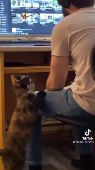 When Dad won't pay attention to you