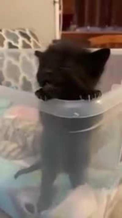 Smol void trying to break out of jail