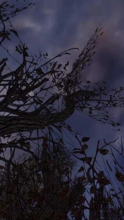 if stalkers had phones