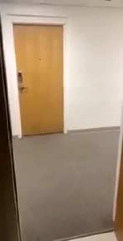 RUN FOR YOUR LIVES!!! (Shuba edition)