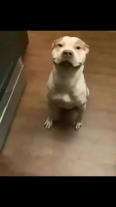 That Smile Is killing Me.........