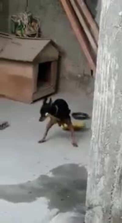 Hogwarts would be proud