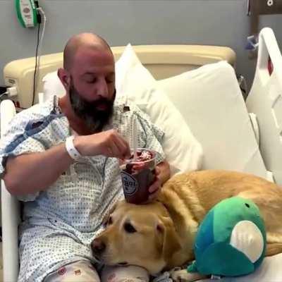 Man’s dog was by his side the entire time he was at the hospital