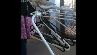 To hell with all your stuff