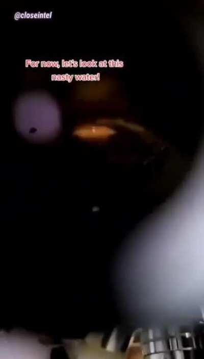 Germs versus rubbing alcohol