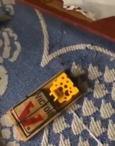 cellbits - Video #6487