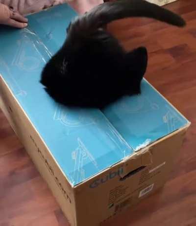 Box.