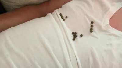 Polite enough to not poop on the couch at least