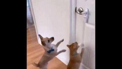 Just the two, right?