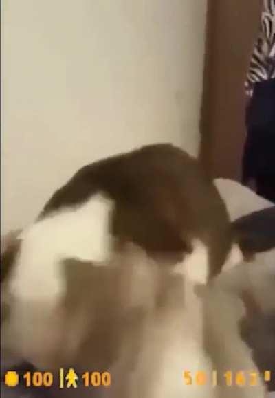 look, another headcrab