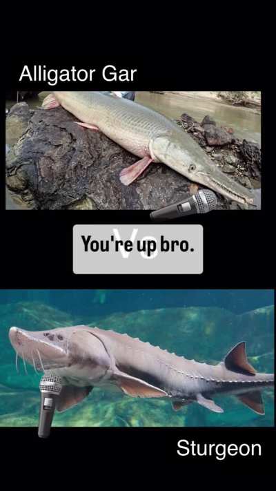 where does this rank of all time?? 🔥🔥🔥🔥🔊🔊🔊