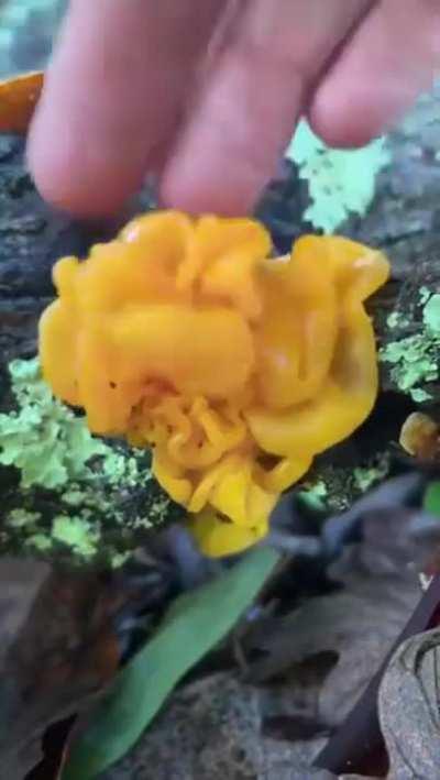 You like that? You dirty fungus.