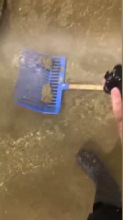 Круто, повезло :) Или нет :(