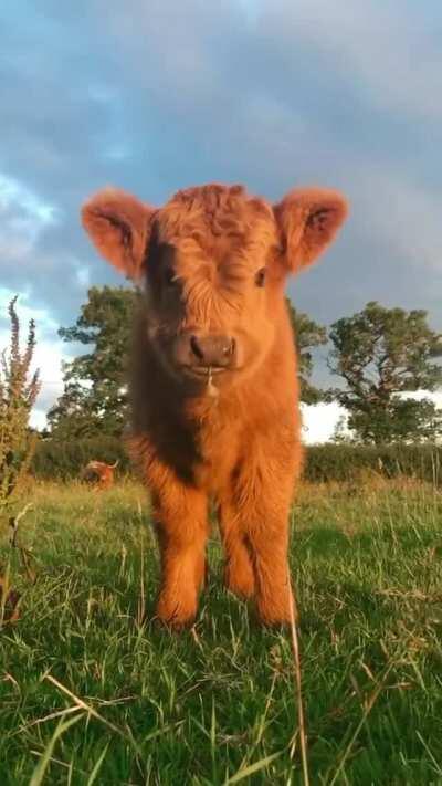 What a beautiful baby