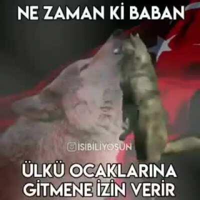 Şu videolar nasıl yapılıyor