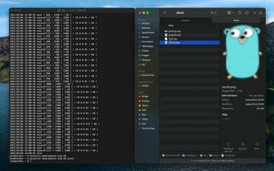 Pixellizer v2 - now supporting terminal rendering, gif outputs, pixel-sized results, logs and absolute/relative paths to the image