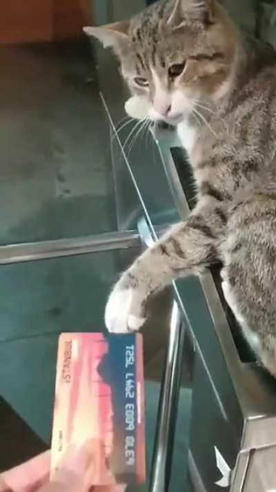 Subway Attendant After a Long Day