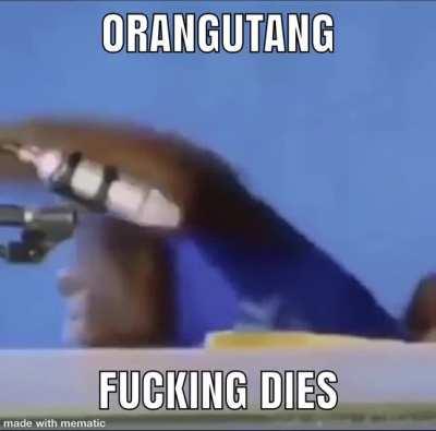 Don’t talk to me i need a minute 😞🐵