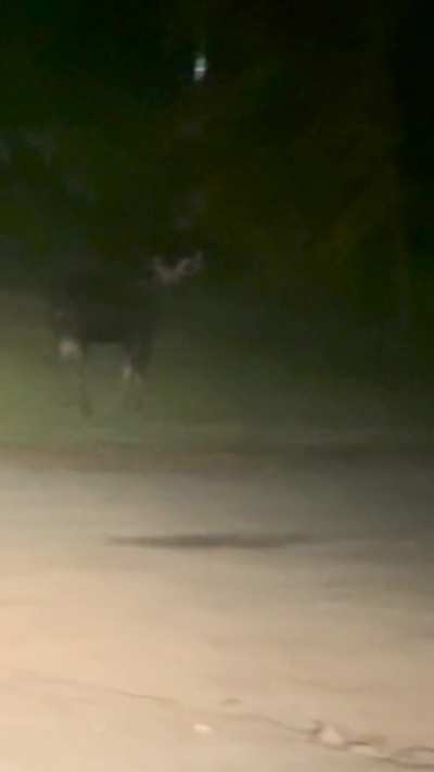 On my college campus in VT