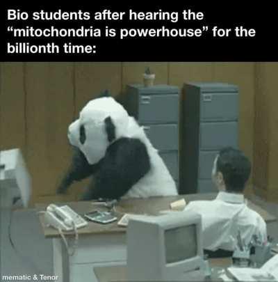 Go back in time and stop ATP synthase from evolving