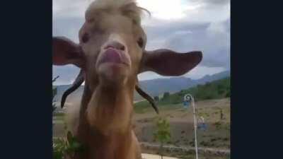 Talk about macroeconomics