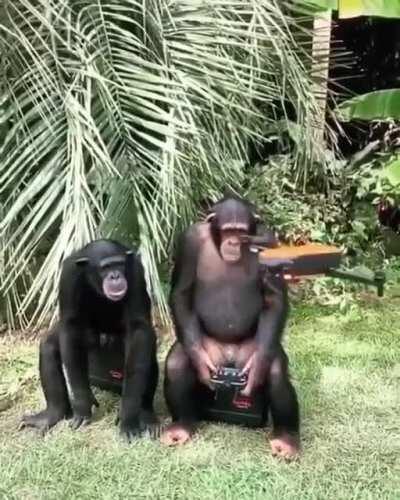 es tan dificil conseguir algo asi?