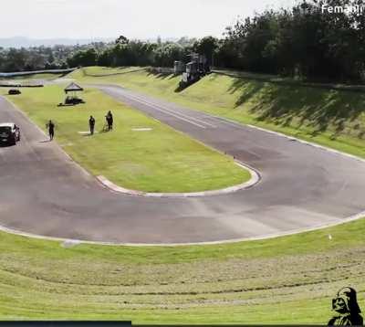 Teaching dogs to drive