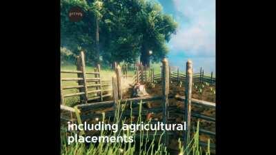 An emotional Greyling Rescue is the feel-good story we all need right now.