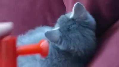 Доброе утро!