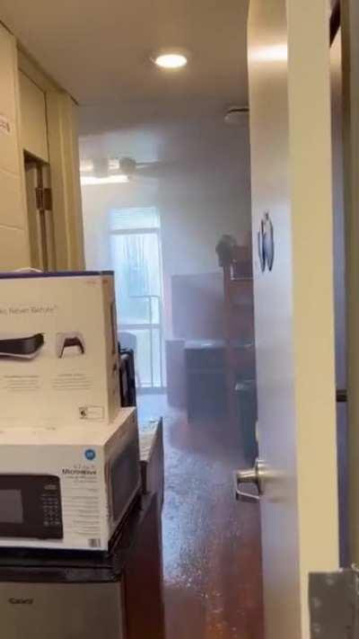 move in day is going smoothly