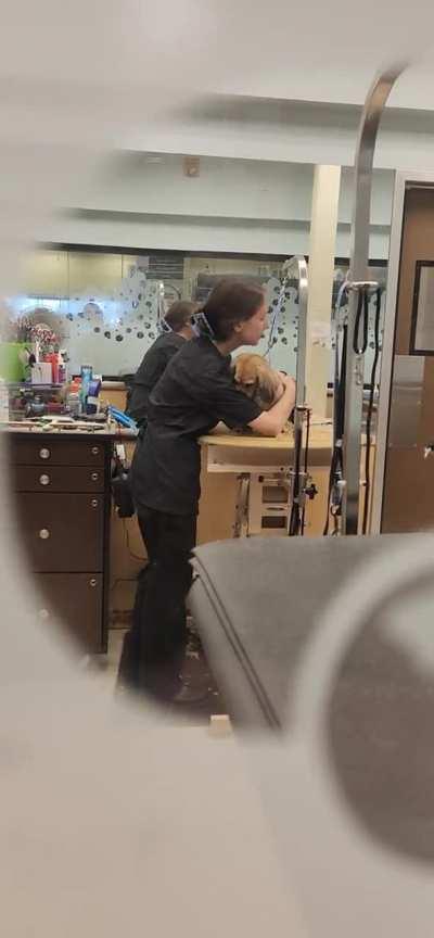 This Candid Moment Between the Groomer and my Dog