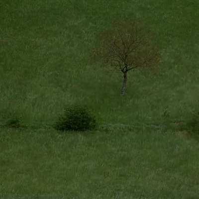 Let's just chill out for 30 seconds