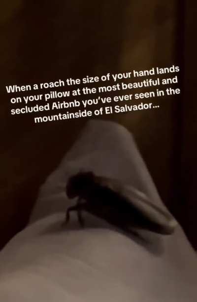 Complimentary protein included with hotel room