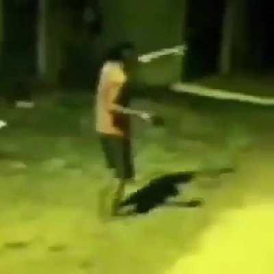 pedro_agiotagens.mp4