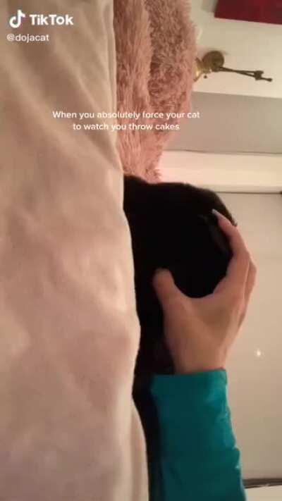 Doja “throwing cakes”.