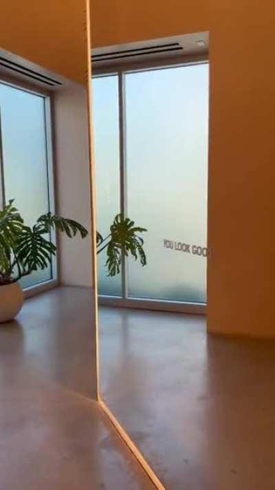 Glossier in the Mirror